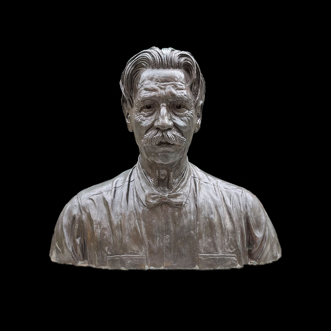 Albert schweitzer